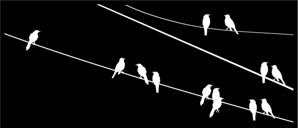 Birds on a Wire